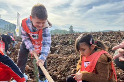 “81 İlde 81 Orman” Projesi Muğla İle Devam Ediyor